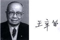 辛笛