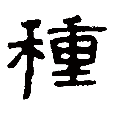 泰山金刚经