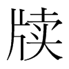 韩国明朝体